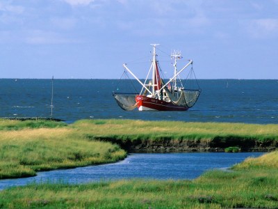 Holiday apartment H&P in Cuxhaven - Environment photo 17