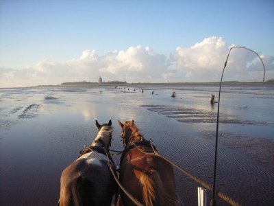 Holiday apartment H&P in Cuxhaven - Environment photo 18