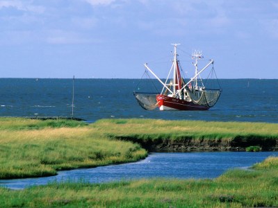 Holiday apartment H&P in Cuxhaven - Environment photo 17