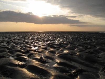 Holiday apartment H&P in Cuxhaven - Environment photo 12