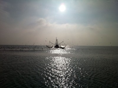 Holiday apartment H&P in Cuxhaven - Environment photo 13