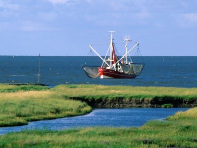 Holiday apartment H&P in Cuxhaven - Environment photo 14