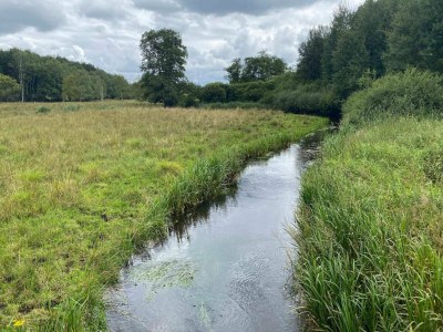 Holiday house 4 Sterne Ferienhaus in Hovborg-By Traum - Outdoor photo 14