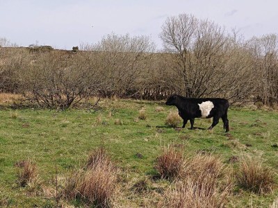 Holiday house 4 Sterne Ferienhaus in Hovborg-By Traum - Outdoor photo 15