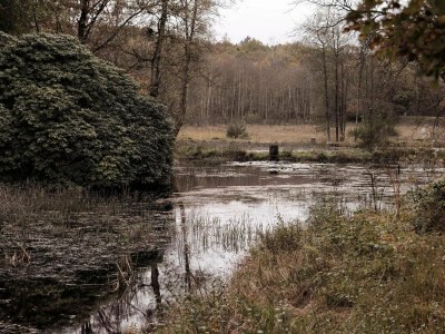 Holiday house 4 Sterne Ferienhaus in Hovborg-By Traum - Outdoor photo 16