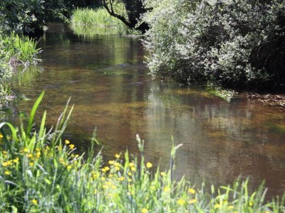Holiday house 4 Sterne Ferienhaus in Hovborg-By Traum - Outdoor photo 17