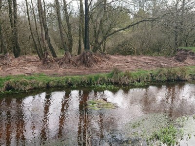 Holiday house 4 Sterne Ferienhaus in Hovborg-By Traum - Outdoor photo 22
