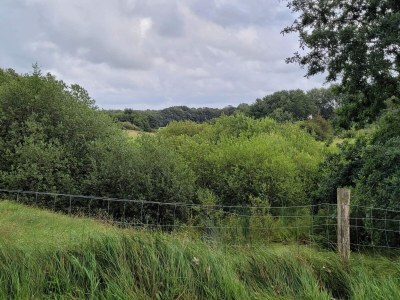 Holiday house 4 Sterne Ferienhaus in Hovborg-By Traum - Outdoor photo 27