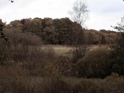 Holiday house 4 Sterne Ferienhaus in Hovborg-By Traum - Outdoor photo 34