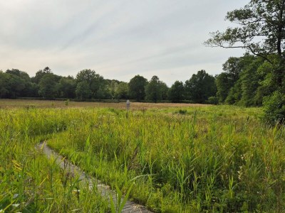 Holiday house 4 Sterne Ferienhaus in Hovborg-By Traum - Outdoor photo 35