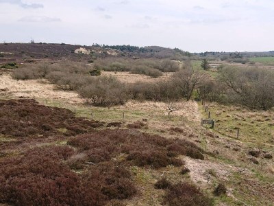 Holiday house 4 Sterne Ferienhaus in Hovborg-By Traum - Outdoor photo 40