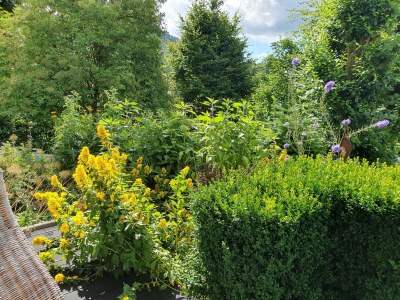 Apartment Terrassen-Retreat in Winterberg - Outdoor photo 3