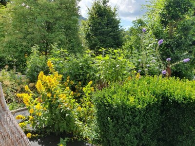 Apartment Terrassen-Retreat in Winterberg - Outdoor photo 6