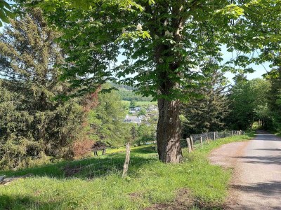 Apartment Terrassen-Retreat in Winterberg - Environment photo 19