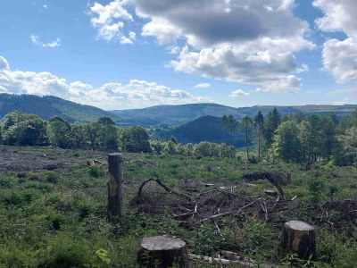 Apartment Terrassen-Retreat in Winterberg - Environment photo 22