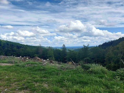 Apartment Terrassen-Retreat in Winterberg - Environment photo 35