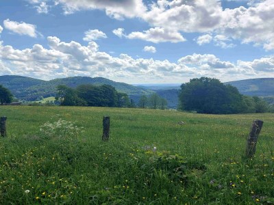 Apartment Terrassen-Retreat in Winterberg - Environment photo 36