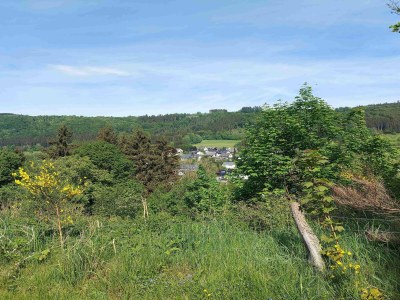 Apartment Terrassen-Retreat in Winterberg - Environment photo 37