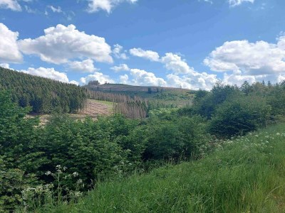 Apartment Terrassen-Retreat in Winterberg - Environment photo 38