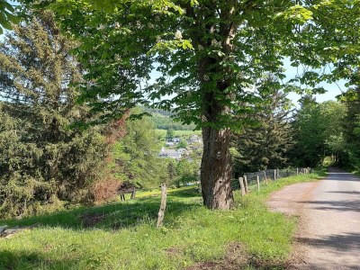 Apartment Terrassen-Retreat in Winterberg - Environment photo 40