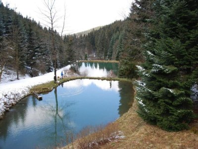 Apartment Terrassen-Retreat in Winterberg - Environment photo 49