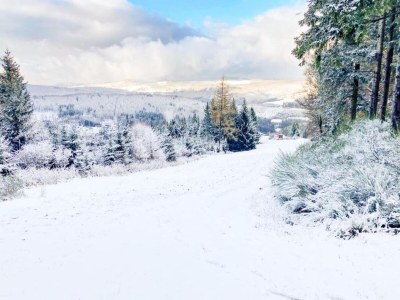 Apartment Terrassen-Retreat in Winterberg - Environment photo 54