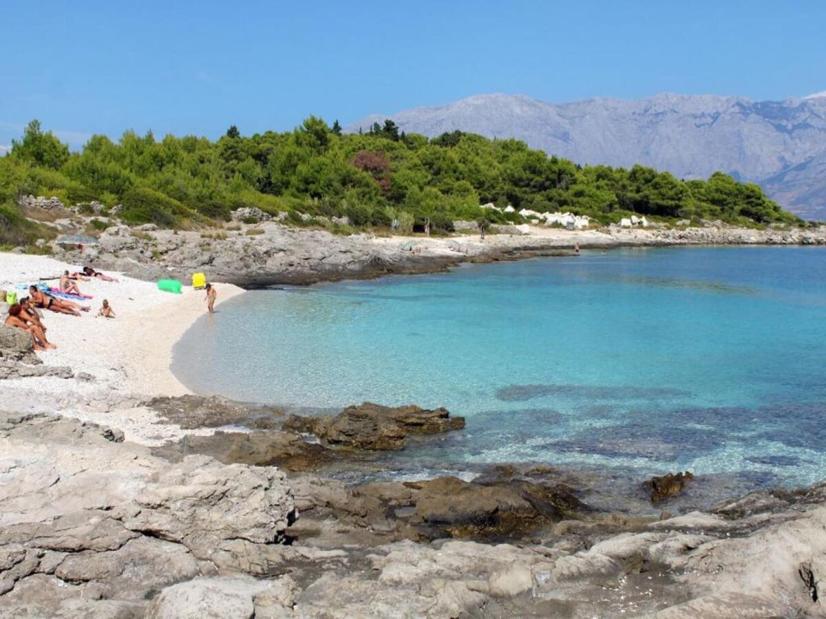 Apartment Apartments Agava & Lucija-Studio Apartment(First Floor) - Environment photo 3