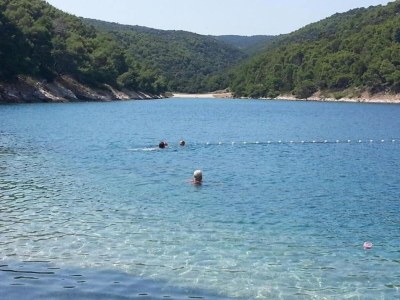 Apartment Apartments Agava & Lucija-Studio Apartment(First Floor) - Environment photo 9