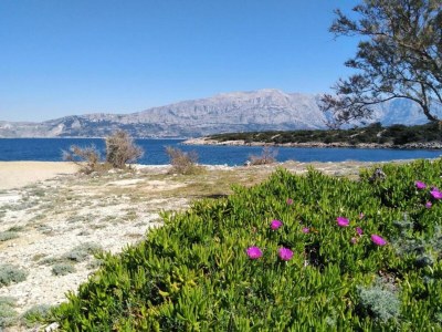 Apartment Apartments Agava & Lucija-Studio Apartment(First Floor) - Environment photo 25