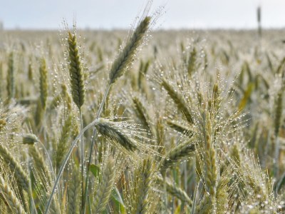 Holiday apartment Frankenwaldhaus - Outdoor photo 7