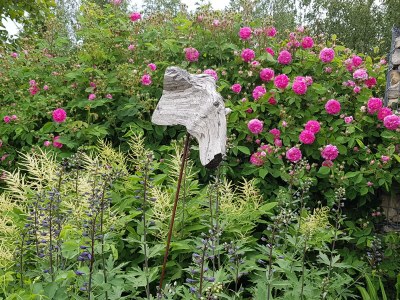 Holiday apartment Frankenwaldhaus - Outdoor photo 12