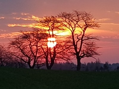 Holiday apartment Frankenwaldhaus - Outdoor photo 14