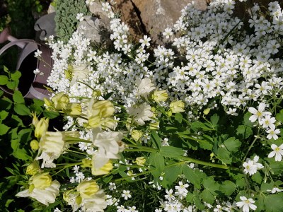 Holiday apartment Frankenwaldhaus - Outdoor photo 15