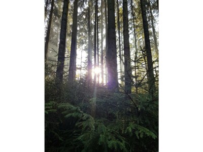 Holiday apartment Frankenwaldhaus - Outdoor photo 16