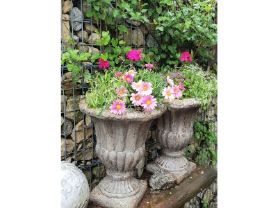 Holiday apartment Frankenwaldhaus - Outdoor photo 17