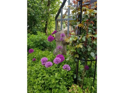 Holiday apartment Frankenwaldhaus - Outdoor photo 20