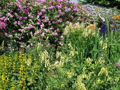 Holiday apartment Frankenwaldhaus - Outdoor photo 23