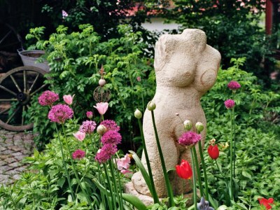 Holiday apartment Frankenwaldhaus - Outdoor photo 25