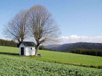 Holiday apartment Frankenwaldhaus - Environment photo 40