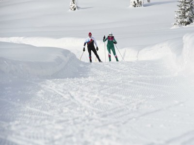 Apartment Appartement/Fewo, Dusche, WC, 1 Schlafraum - Outdoor photo 20