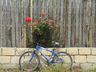 Villa Casa Nel Paradiso - Environment photo 29