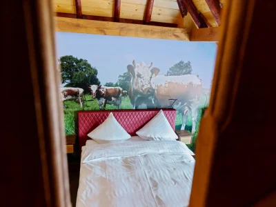 Holiday house Detached Home in Friesland by Canal - Features photo 27