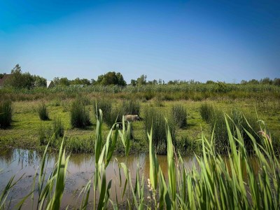 Holiday house Detached Home in Friesland by Canal - Environment photo 31