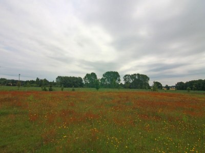 Apartment Behagliche Ferienwohnung im idyllischen Körchow - Environment photo 40