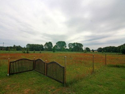 Apartment Behagliche Ferienwohnung im idyllischen Körchow - Environment photo 41