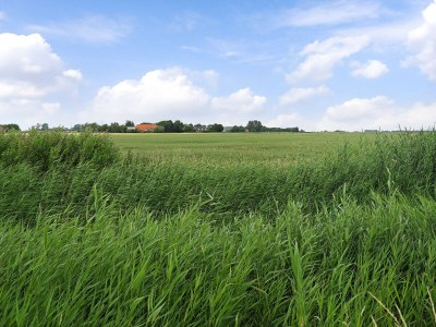 Holiday apartment Nieuwdorp - ZE1420 - Environment photo 26