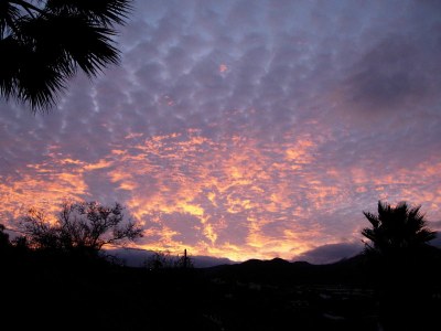 Holiday house el Morrito - Environment photo 20