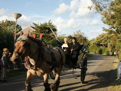 Holiday house Oasis Group House (12 people) - Environment photo 33
