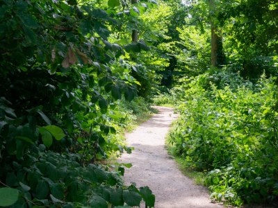 Holiday house Oasis Group House (12 people) - Environment photo 38