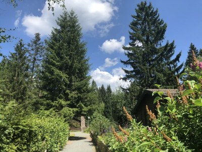 Holiday house Ferienhaus in Clausthal-Zellerfeld mit Terrasse - Environment photo 18